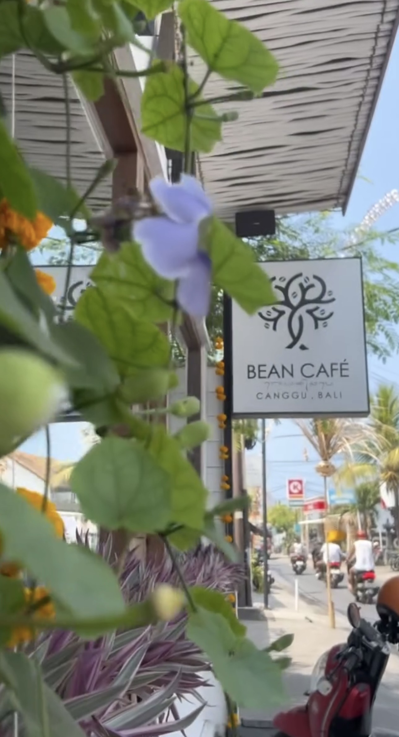 Bean Café
