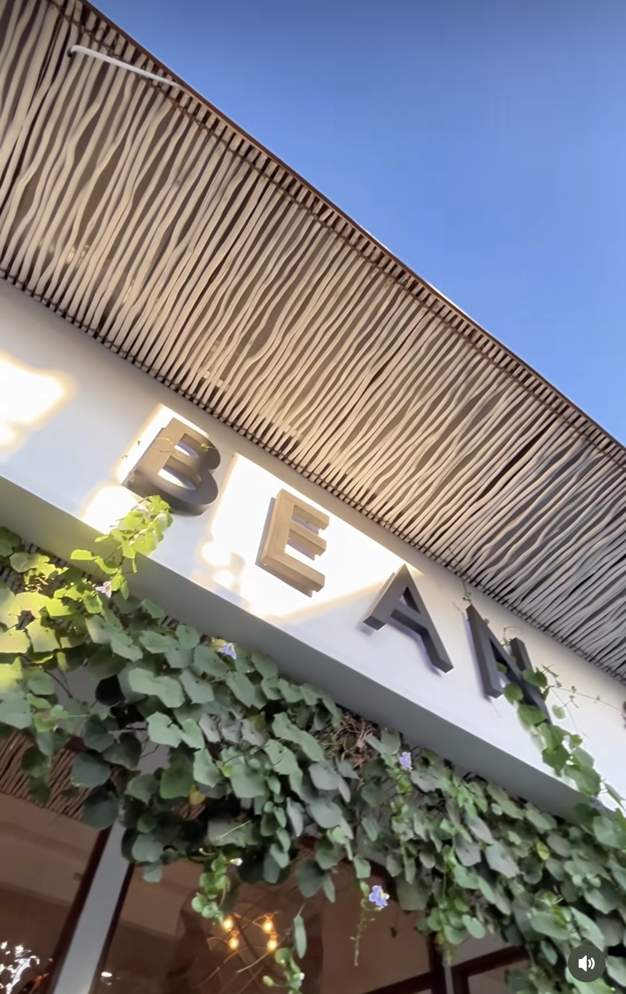 Bean Café